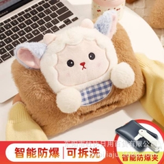 [ Set 2 Cái ] Túi Sưởi Điện - 20462