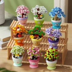 [ Set 18 Hộp ] Lego - 21126