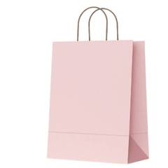 [ Set 50 Cái ] Túi Quà Pastel - 21840