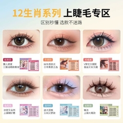 [ Set 5 Hộp ] Mi Giả Tự Dính - 22084