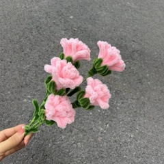 [ Set 10 Nhánh ] Hoa Cẩm Chướng Kẽm Nhung - 18185