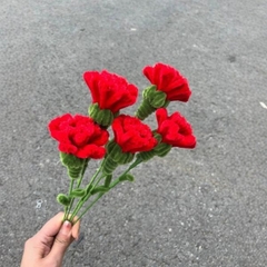 [ Set 10 Nhánh ] Hoa Cẩm Chướng Kẽm Nhung - 18185