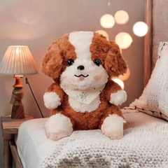 [ Set 5 Con ] Gấu Bông [ 25cm ] - 16382