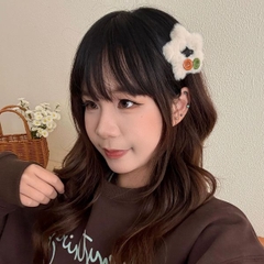 [ Set 12 Cái ] Kẹp Tóc - 19551