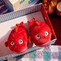 [ Set 2 Đôi ] Dép Bông [ Size : 36 > 45 ] - 20253