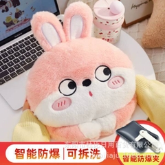 [ Set 2 Cái ] Túi Sưởi Điện - 20459