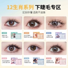 [ Set 5 Hộp ] Mi Giả Tự Dính - 22084