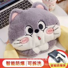 [ Set 2 Cái ] Túi Sưởi Điện - 20459