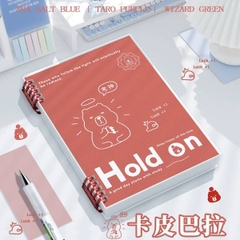 [ Set 12 Quyển ] Sổ Còng [ A5 ] - 21605