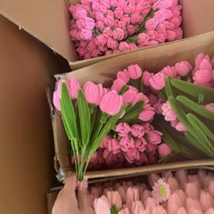 [ Set 20 Nhánh ] Hoa Tulip Kẽm Nhung - 18188