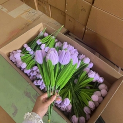 [ Set 20 Nhánh ] Hoa Tulip Kẽm Nhung - 18188