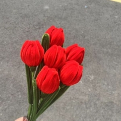 [ Set 20 Nhánh ] Hoa Tulip Kẽm Nhung - 18188