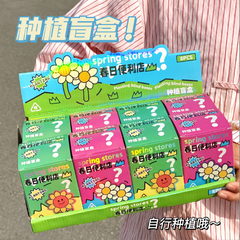 [ Set 12 Hộp ] Hạt Giống Hoa Quả - 921307