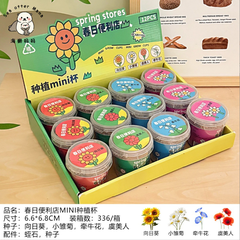 [ Set 12 Hộp ] Hạt Giống Hoa Quả - 921307