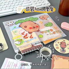 [ Set 30 Cái ] Túi Đựng Hồ Sơ Trong Suốt Capybara - 921653