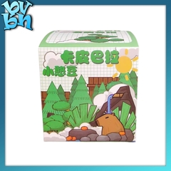 Little Capybara Blindbox Series