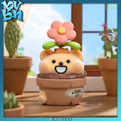 Bear is Bug Hide And Seek Game Series TOPTOY