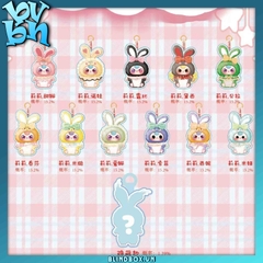 Baby Three Lilly Rabbit Town Version 2 Plush Doll Blindbox