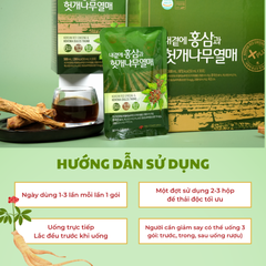 Korean Red Ginseng & Hovenia Dulcis Thunb (50 ML x 30g) – Daedong
