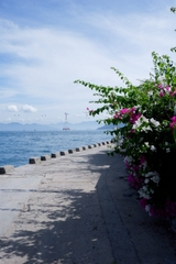 COMBO DU LỊCH PHỐ BIỂN NHA TRANG