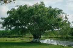 HUẾ THÁNG 7 - ĐI ĐỂ NHỚ, Ở ĐỂ THƯƠNG