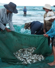 COMBO HÀ NỘI - ĐÀ NẴNG THÁNG 3