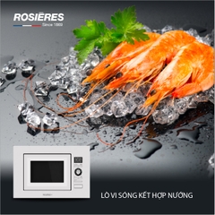 Lò vi sóng Rosieres RMG20/1RB
