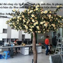 Bình hoa hồng