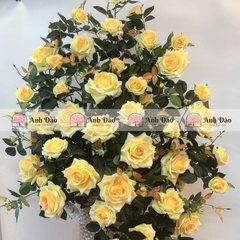 Bình hoa hồng cao 90cm rộng 80cm