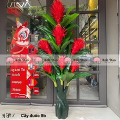 Các mẫu cây xanh trang trí trong nhà