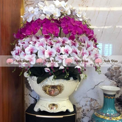 Chậu hoa Lan hồ điệp cao 1.2m rộng 70cm