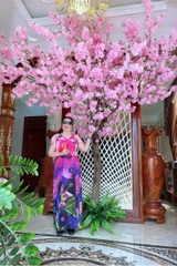 Thi công cây hoa anh đào chùm hồng