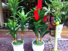 Bình hoa hồng