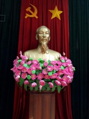Cây hoa hồng