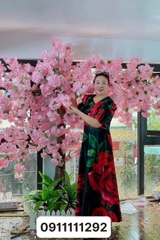 Cây hoa bồ công anh