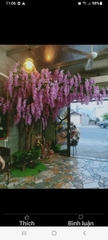Hoa tiệc 1