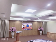 Cây lan hồ điệp