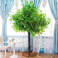 Cây Si Giả Lá Xanh