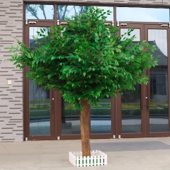Cây Si Giả Lá Xanh