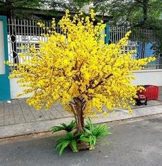 Cây Mai Vàng Giả