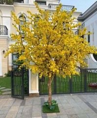 Cây Mai Vàng Giả