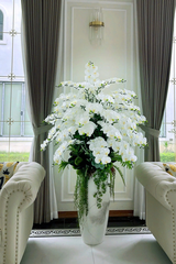 Chậu hoa lan hồ điệp trắng và xanh
