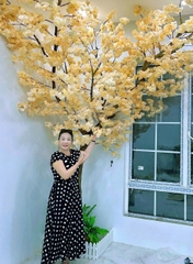 Cây hoa anh đào