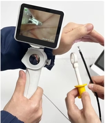 Máy nội soi cho động vật