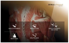 Máy điều trị sóng xung kích lan tỏa