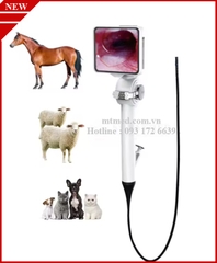 Máy nội soi cho động vật