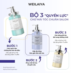 Dầu hấp, ủ Weilaya phục hồi tóc hư tổn đa tầng chai 450ml