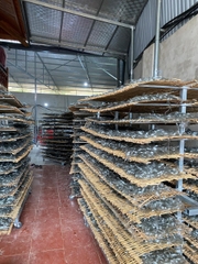 Miến đen sợi to