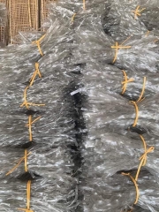 Miến đen sợi to