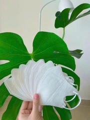 Hộp khẩu trang 3D Tiến Hùng